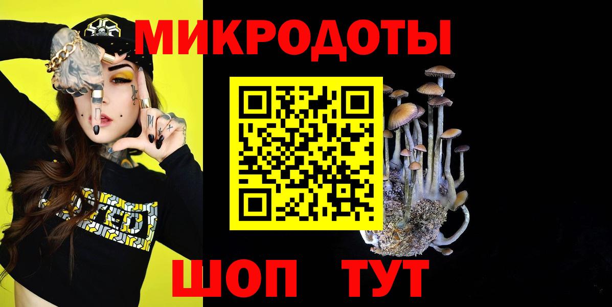продажа наркотиков  Вход с VPN  Назрань  Галлюциногенные грибы прущие грибы 