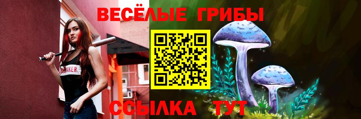 Галлюциногенные грибы MAGIC MUSHROOMS Назрань
